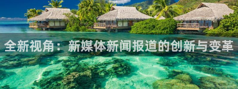 全新视角：新媒体新闻报道的创新与变革