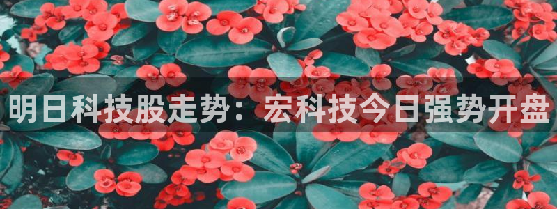 明日科技股走势：宏科技今日强势开盘