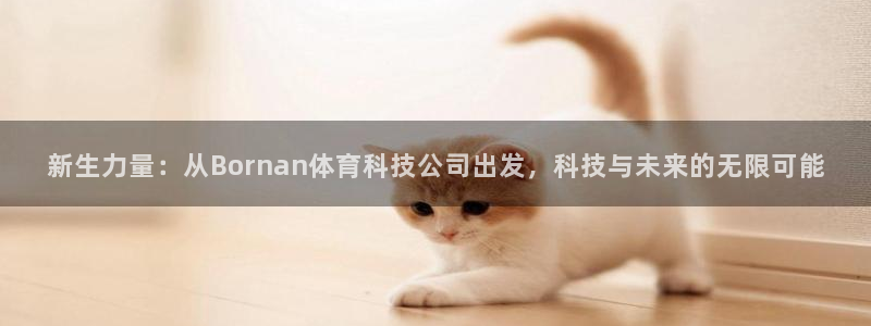 新生力量：从Bornan体育科技公司出发，科技与未来的无限可能